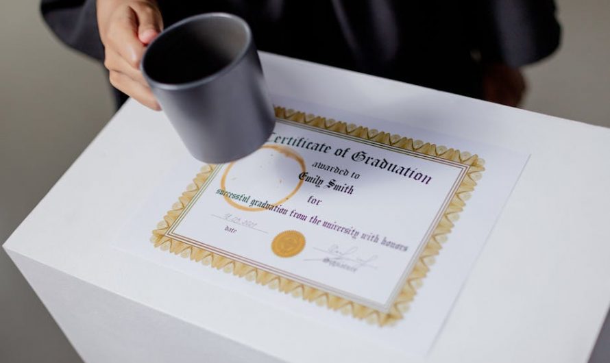 Диплом с занесением в реестр выгодная цена