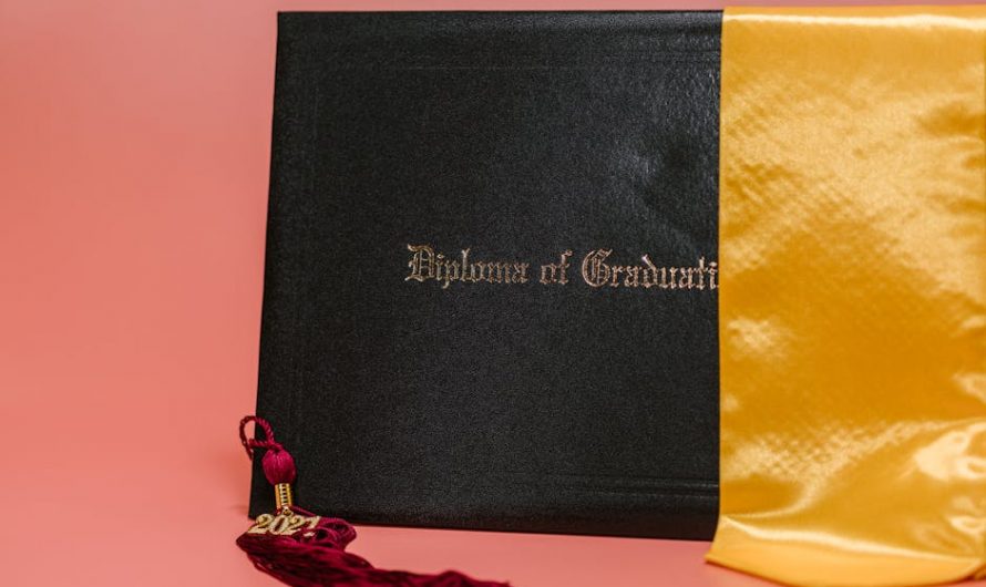 Купить диплом с проверкой безопасности реестра